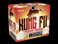 Kung Fu Power Punch