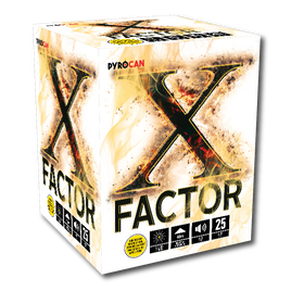 X Factor