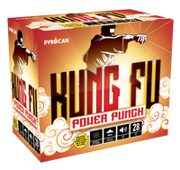 Kung Fu Power Punch